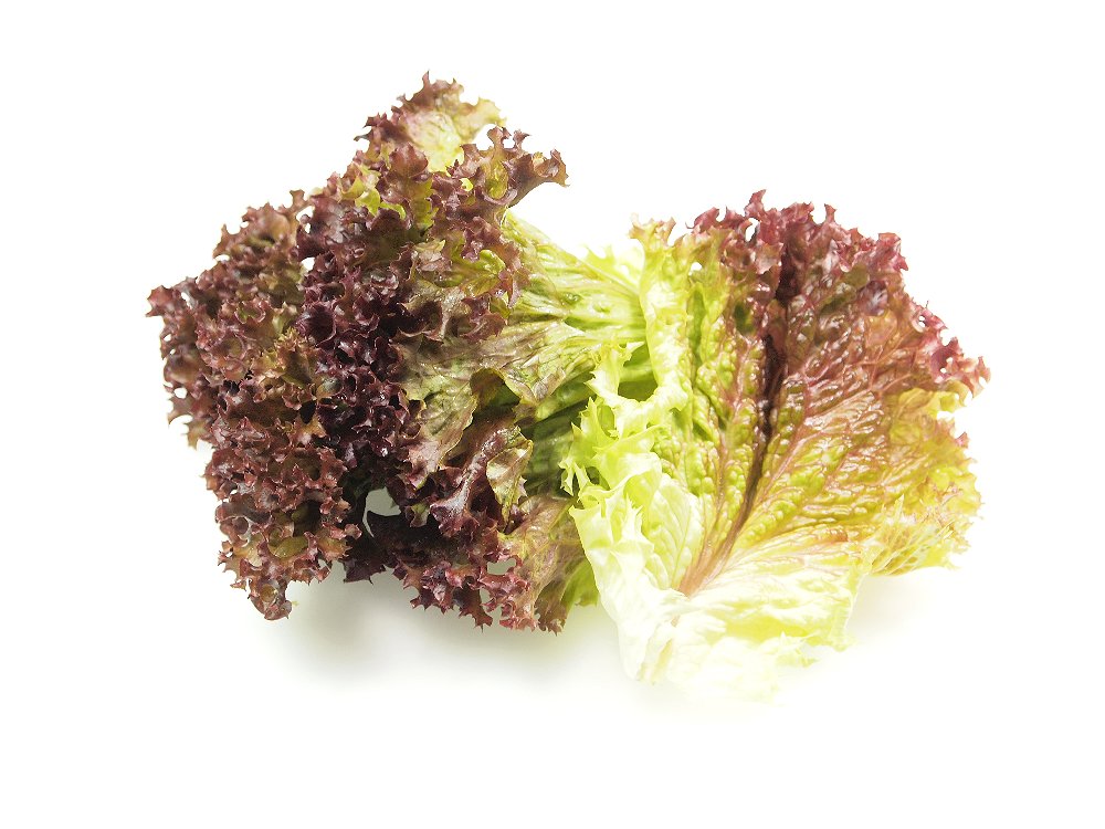 Frisch Frucht Sortiment KW52-01 FF Lollo Rosso gante Blätter